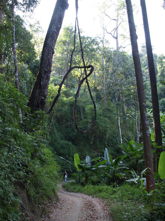 Tonnam Homestay Chiang Mai Buitenkant foto